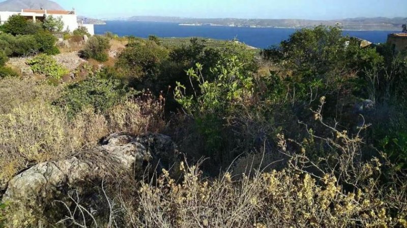 Kokkino Chorio MIT VIDEO: Kreta - Kokkino Chorio - großes Baugrundstück in der Mitte des Dorfes mit Meerblick zum Verkauf Grundstück kaufen